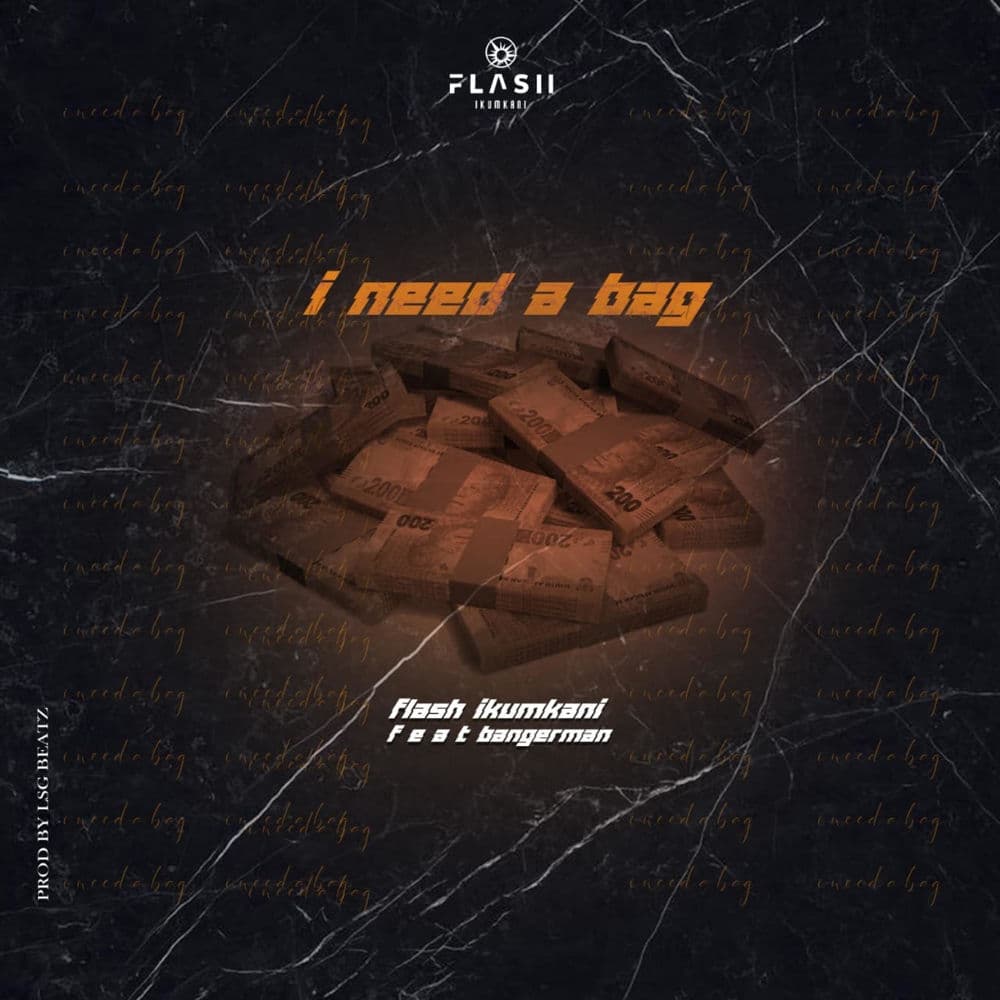 I Need a bag cover artwork